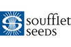 SOUFFLET SEEDS