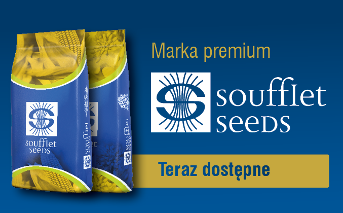 SFS PL marka premium.png