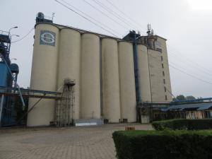 Silo Open Day 2019 in Kościan