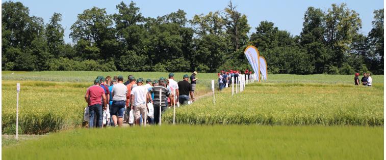 FIELD DAY 2018 in Czachory