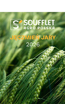 Poznaj ofertę odmian Jęczmienia Jarego na sezon 2026